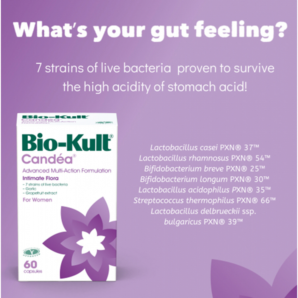 Biokult Candea Protexin 60 Capsules