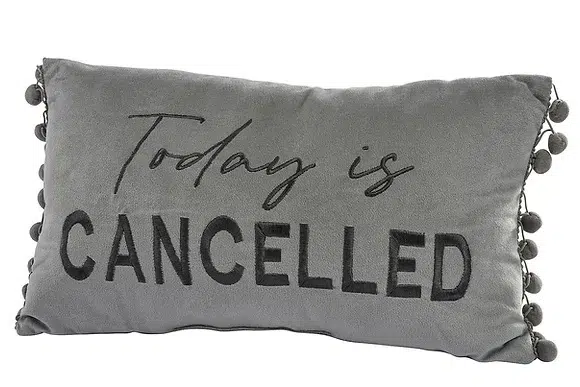 Today Is Cancelled Cushion