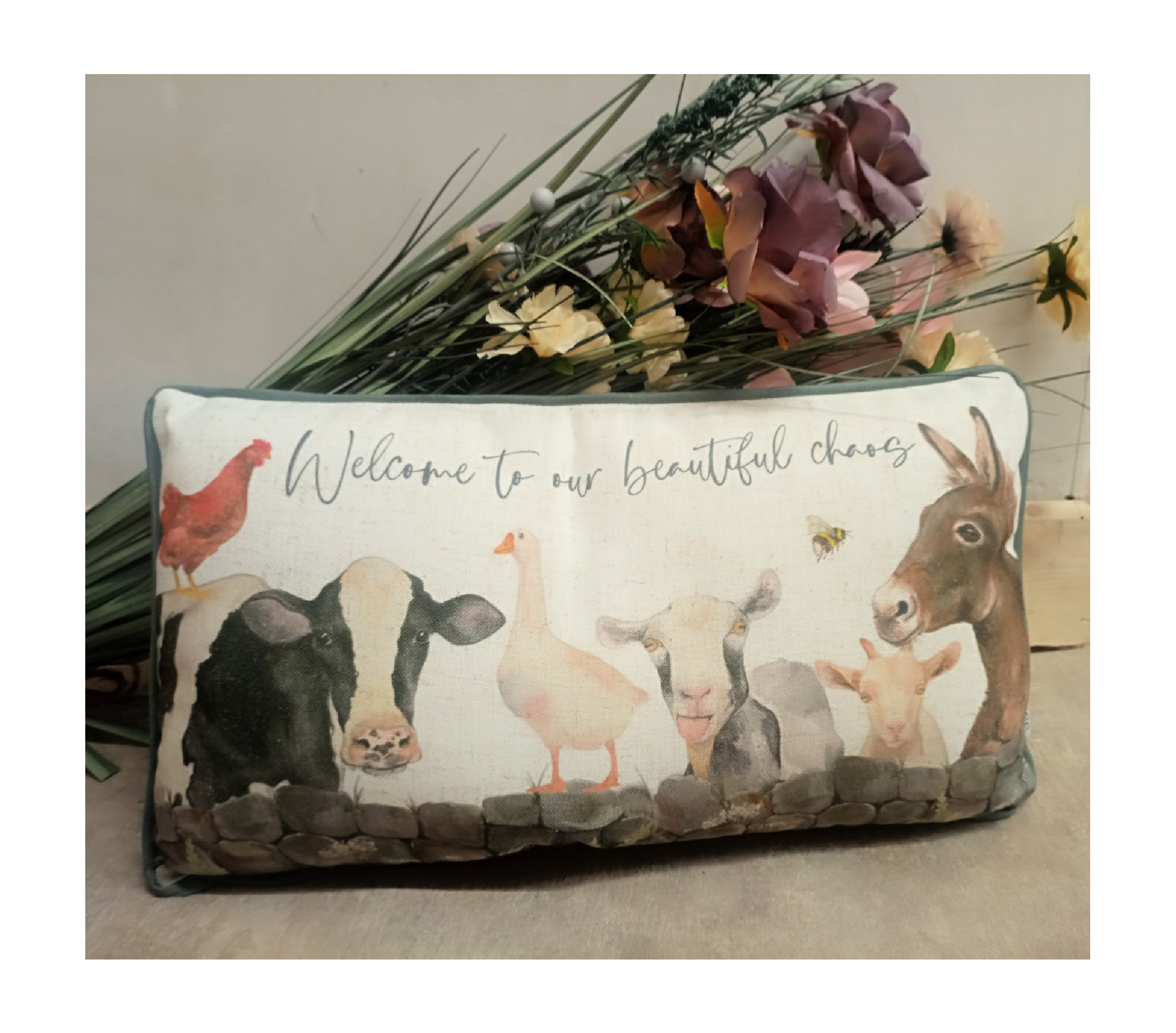 FARM ANIMAL CHAOS CUSHION