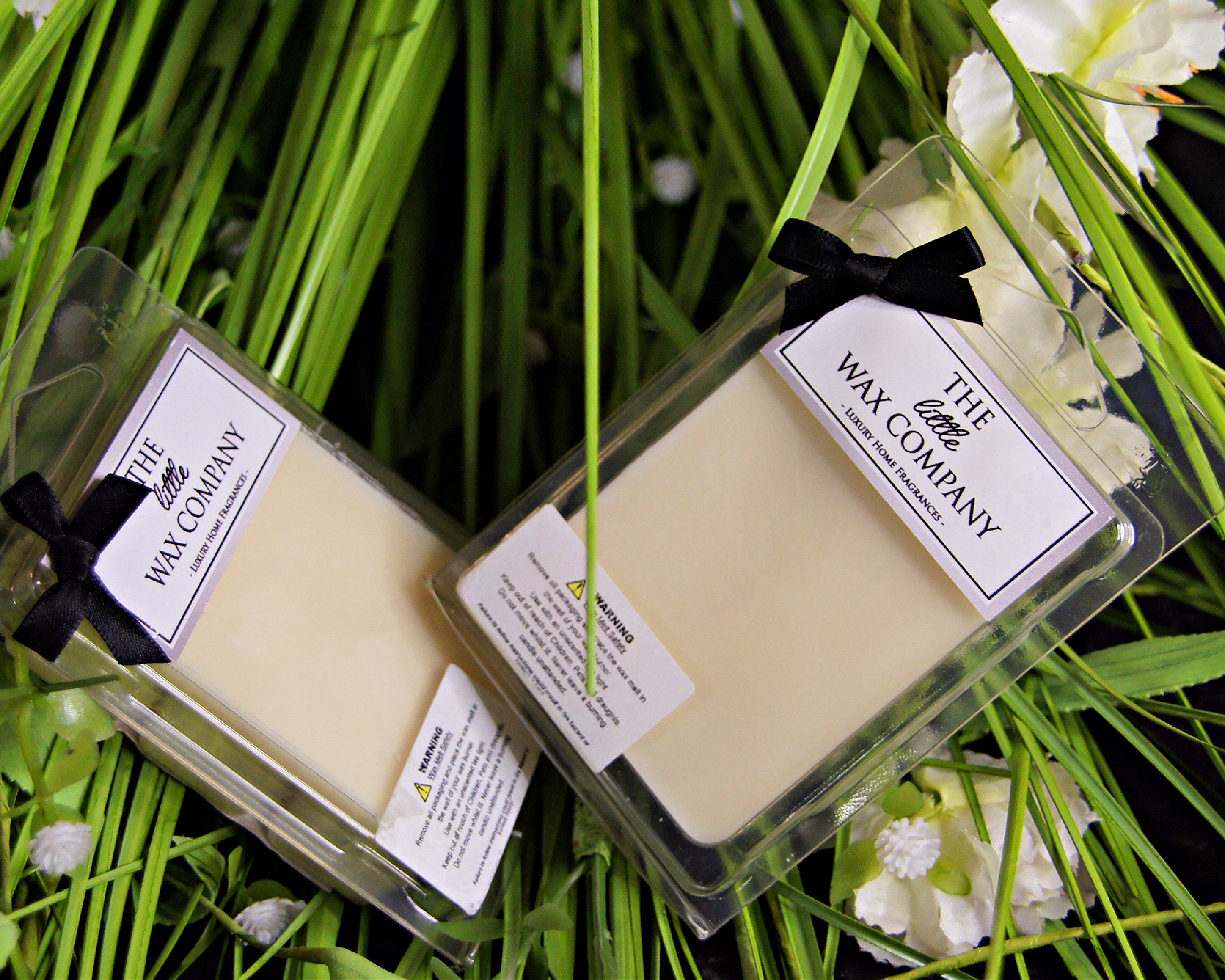 Wax Melts - Inspired By Cleaning