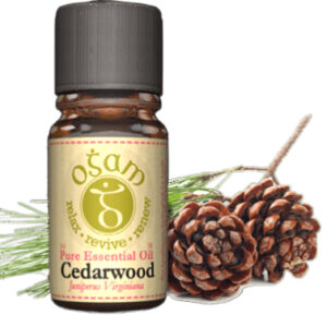 Ogam Cedar Wood Essential Oil 5ml