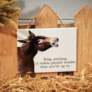Donkey Ceramic Smile Plaque