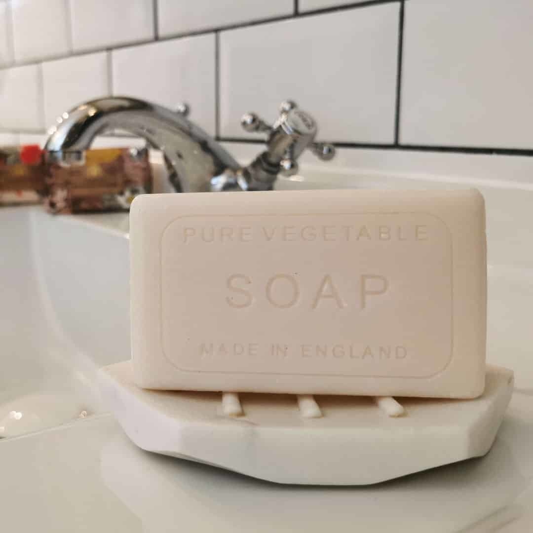 Wonderful Animals Dinosaur Soap