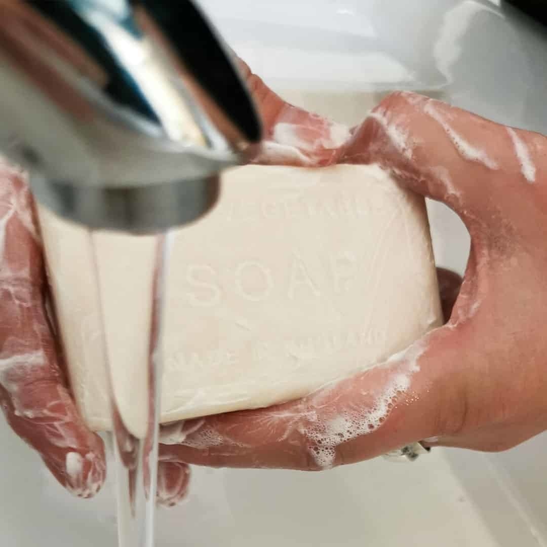Wonderful Animals Dinosaur Soap